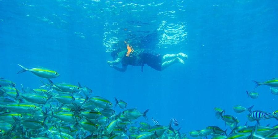 Snorkelen op Koh Tao