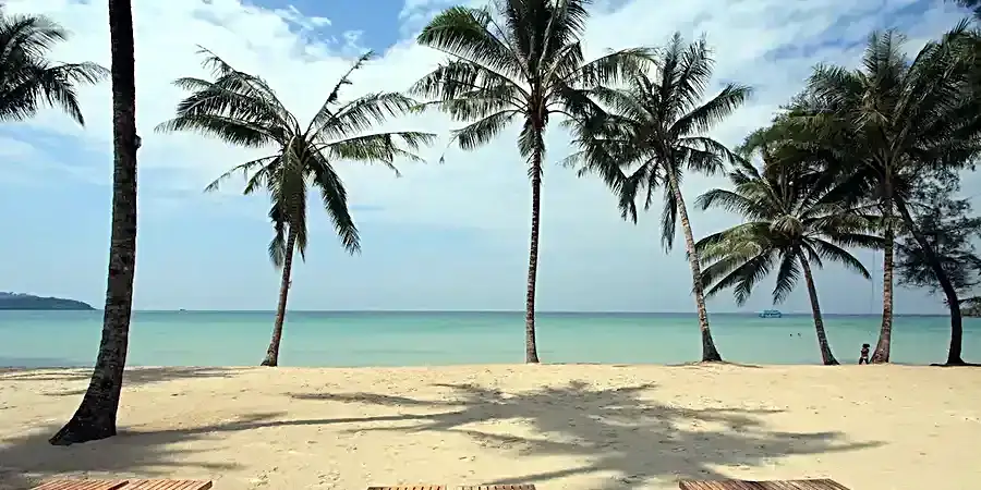 KohKoodWendyThePoolResort6