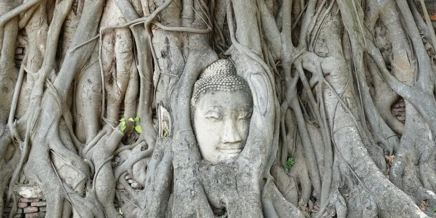 AyuttayaBoedhaBoom