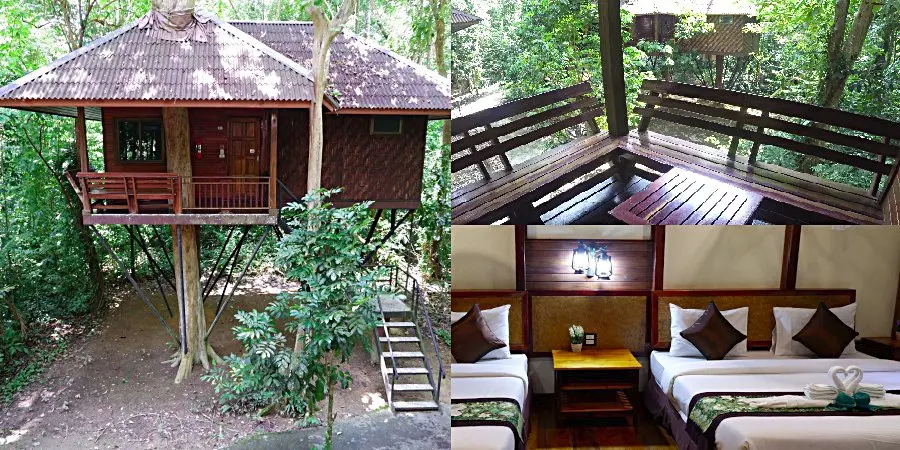 NatureResortGreenFamilyTreehouse1+1