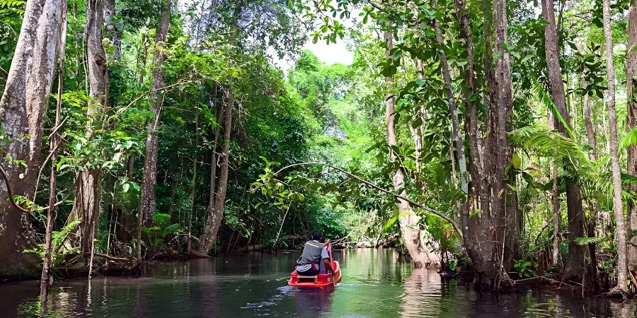 CanoeSokRiver