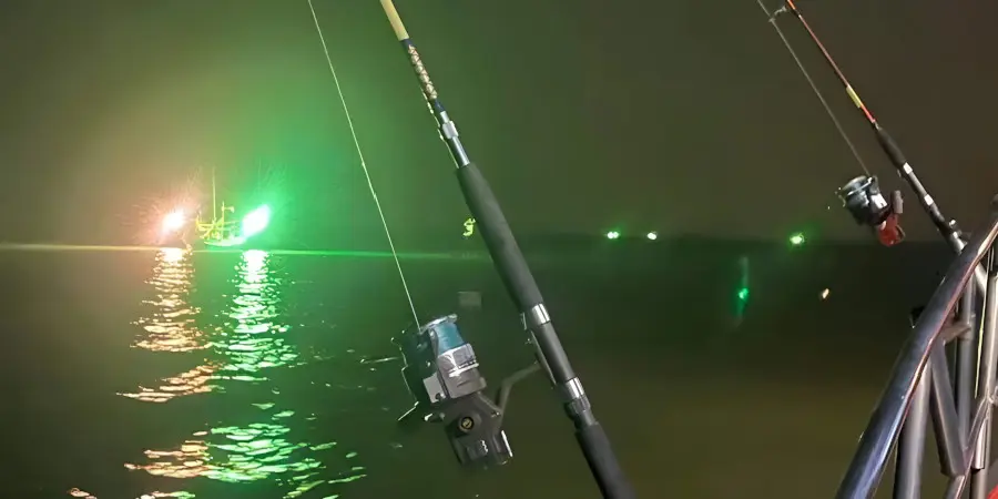 Nightfishing5