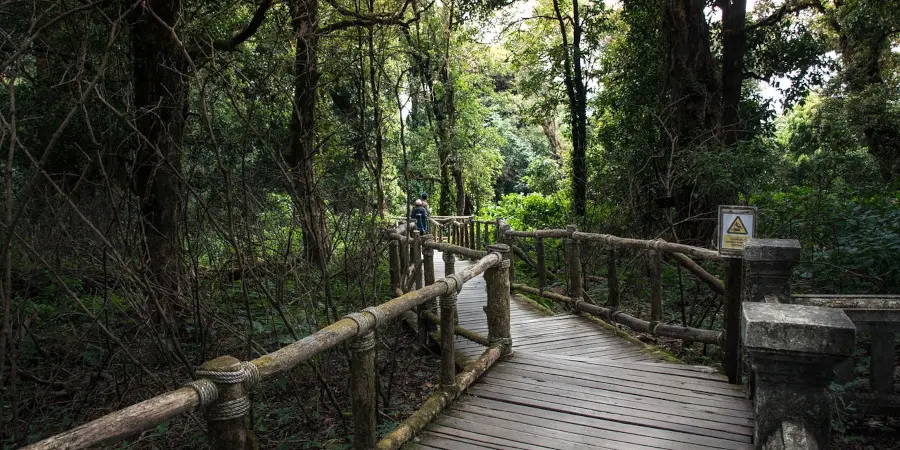 Doi inthanon 4