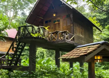 ArtRiverLogeTreehouse