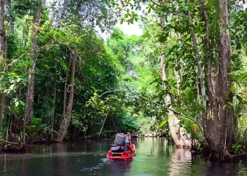 CanoeSokRiver