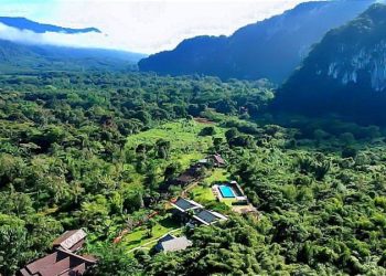 Het Montania Lifestyle is een klein resort van 14 kamers. Een locatie tussen de kalksteen rotsen op 1 kilometer van Khaosok National Park. In de jungle met de luxe van een supermarkt op 300 meter.