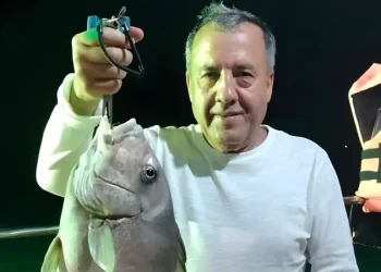 NIghtFishing6