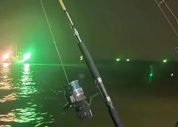 Nightfishing5